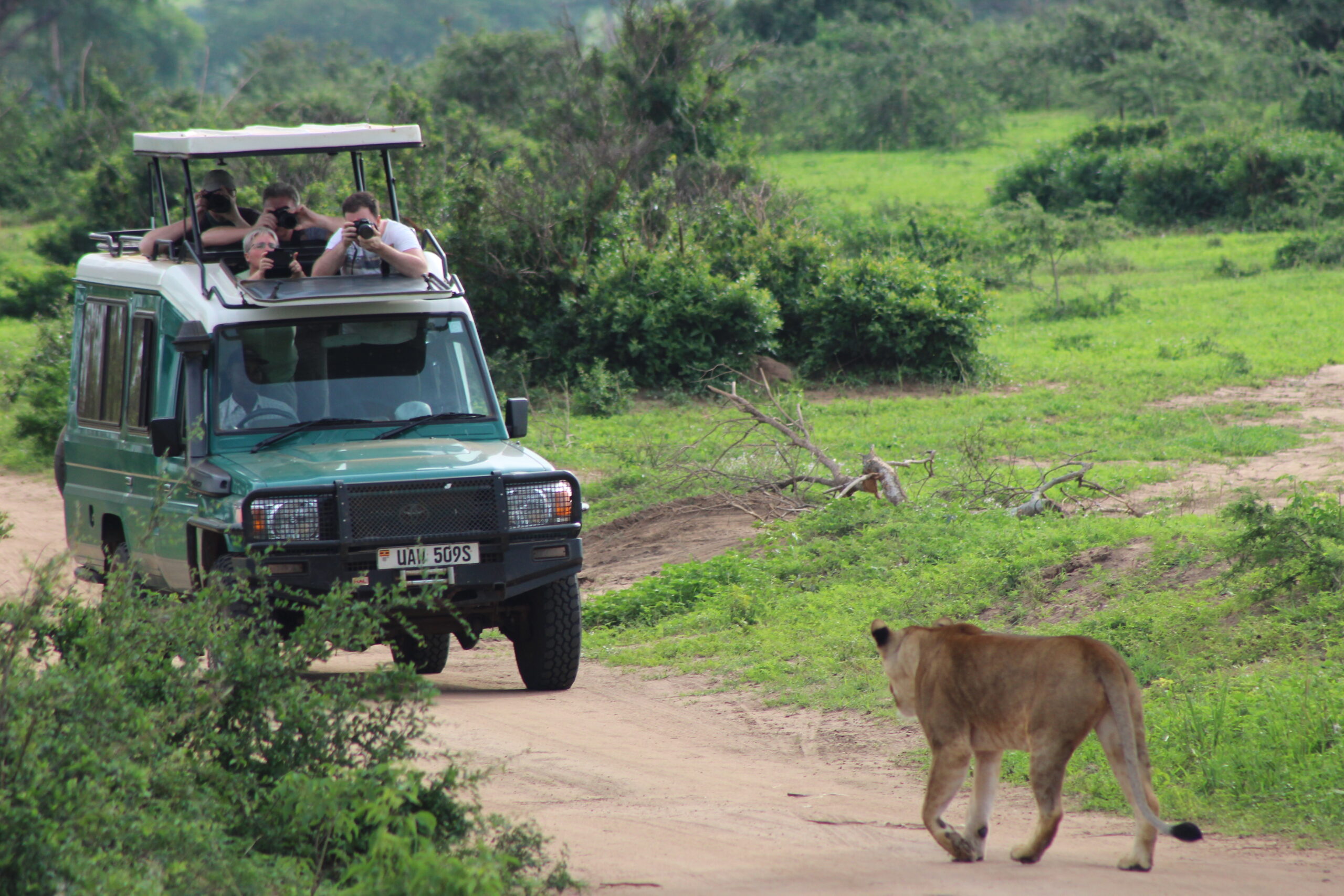 3 Days Murchison Falls Safari Starting In Entebbe